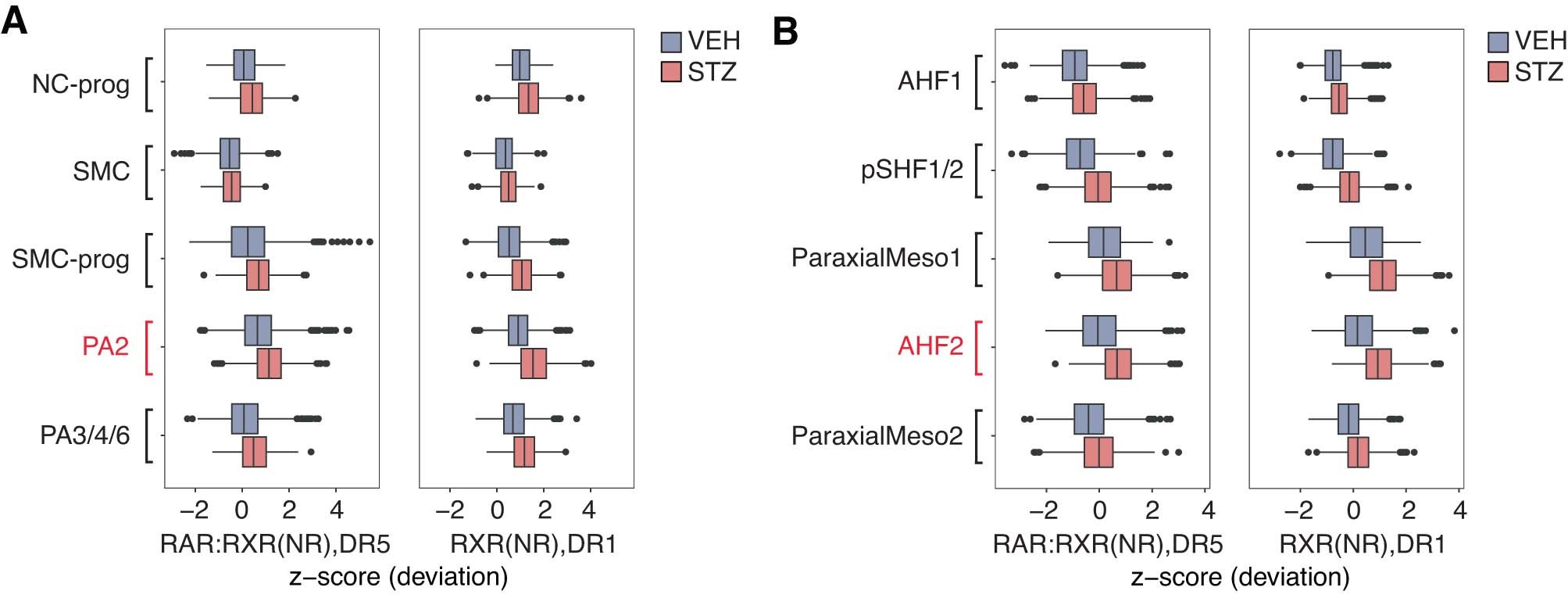 Extended Data Fig. 8: Enhanced retinoic acid signaling in pharyngeal arch 2 and AHF2 in response to hyperglycemia.