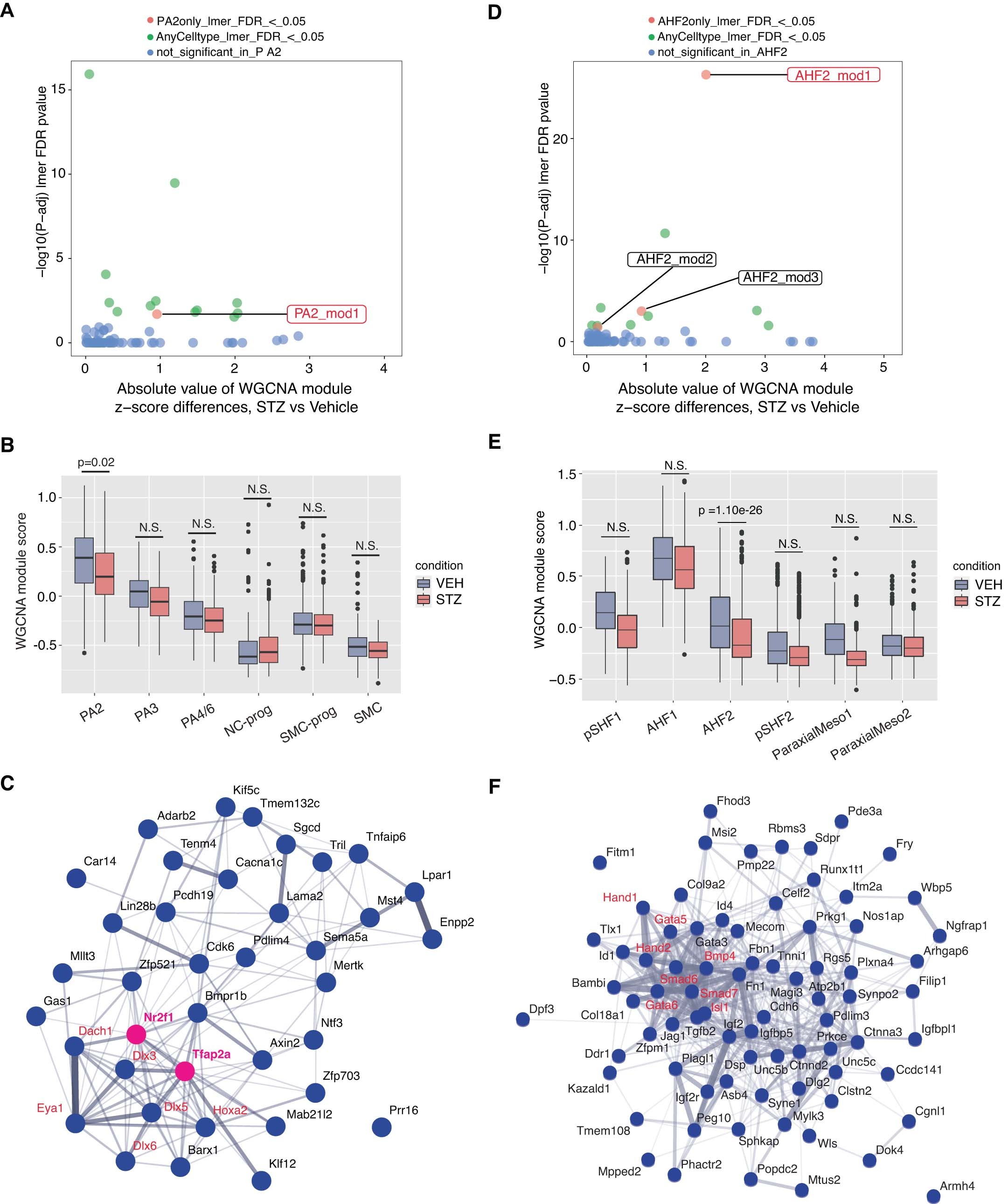 Extended Data Fig. 9: Disrupted retinoic acid signaling is associated with dysregulation of gene regulatory networks in pharyngeal arch 2 and AHF2.