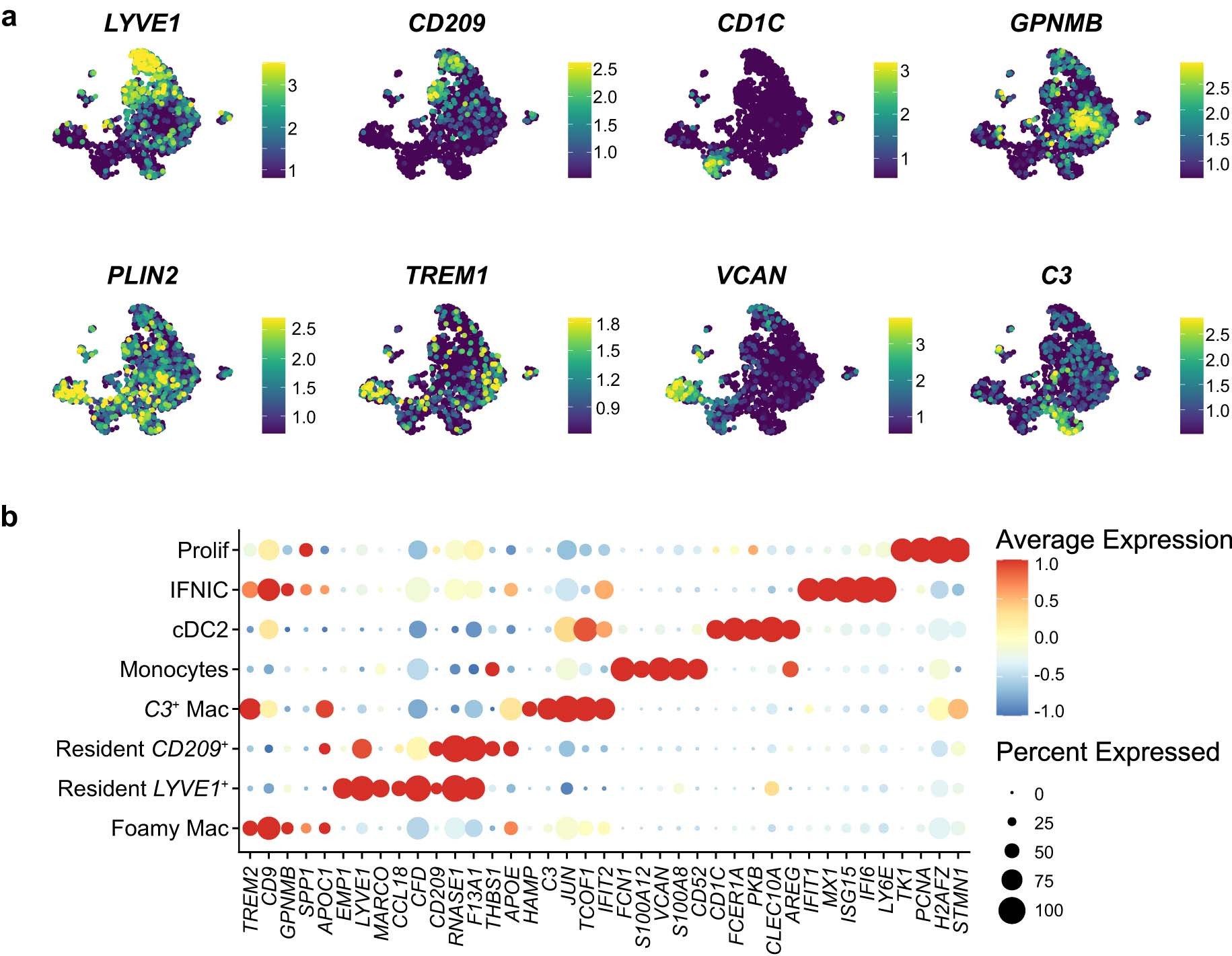 Extended Data Fig. 2: Additional scRNA-seq analysis of human atherosclerotic coronary artery mononuclear phagocytes (related to Fig. 1).