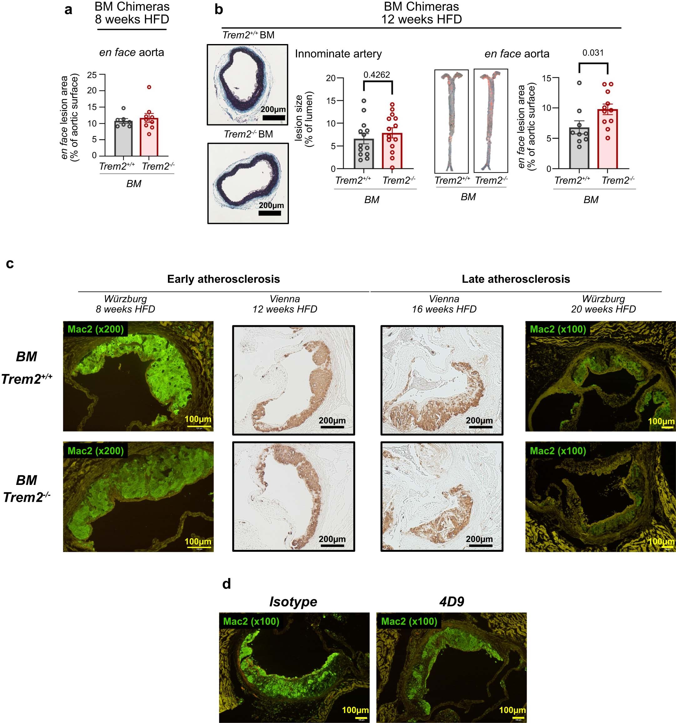 Extended Data Fig. 3: Additional analyses of atherosclerosis (related to Fig. 2).