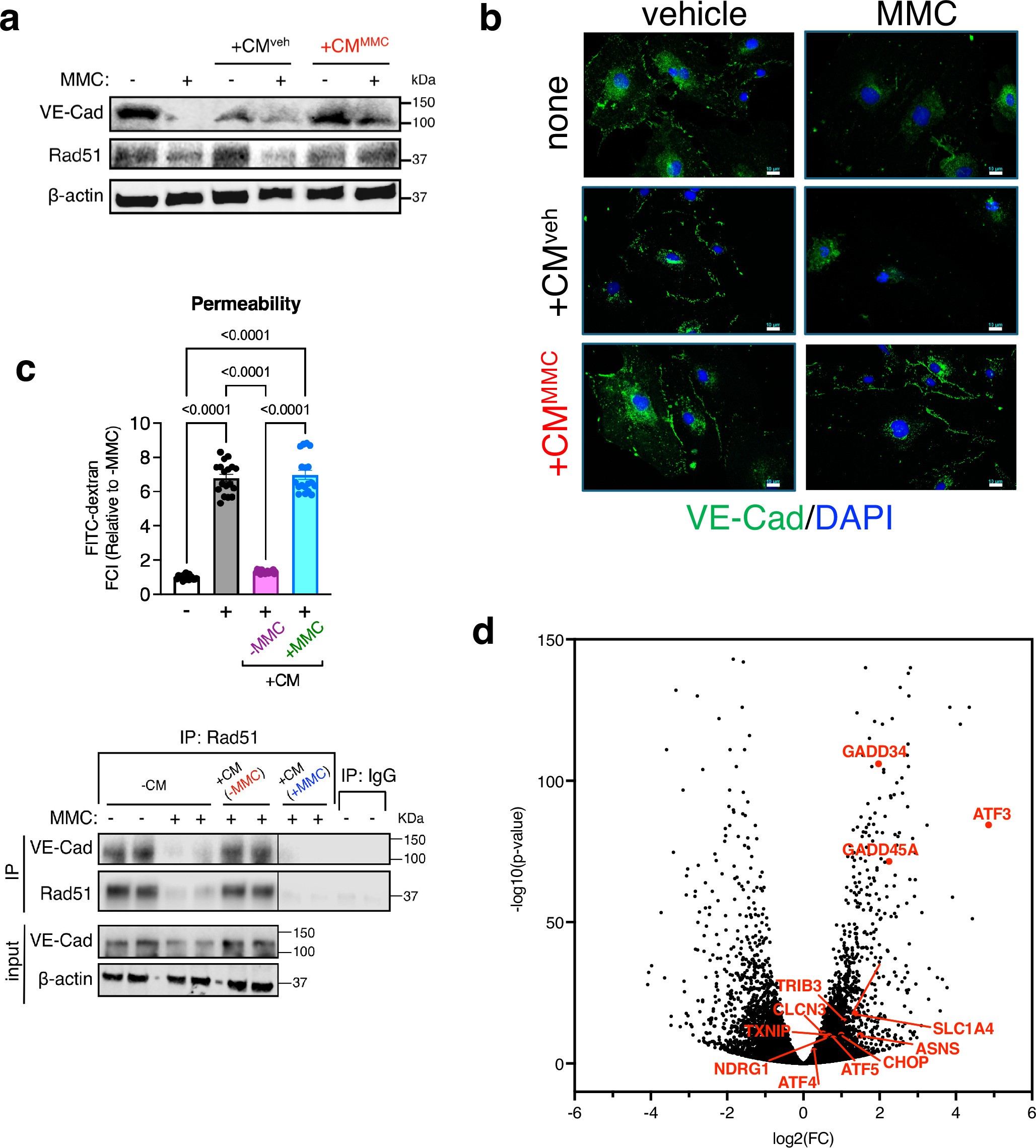 Extended Data Fig. 2