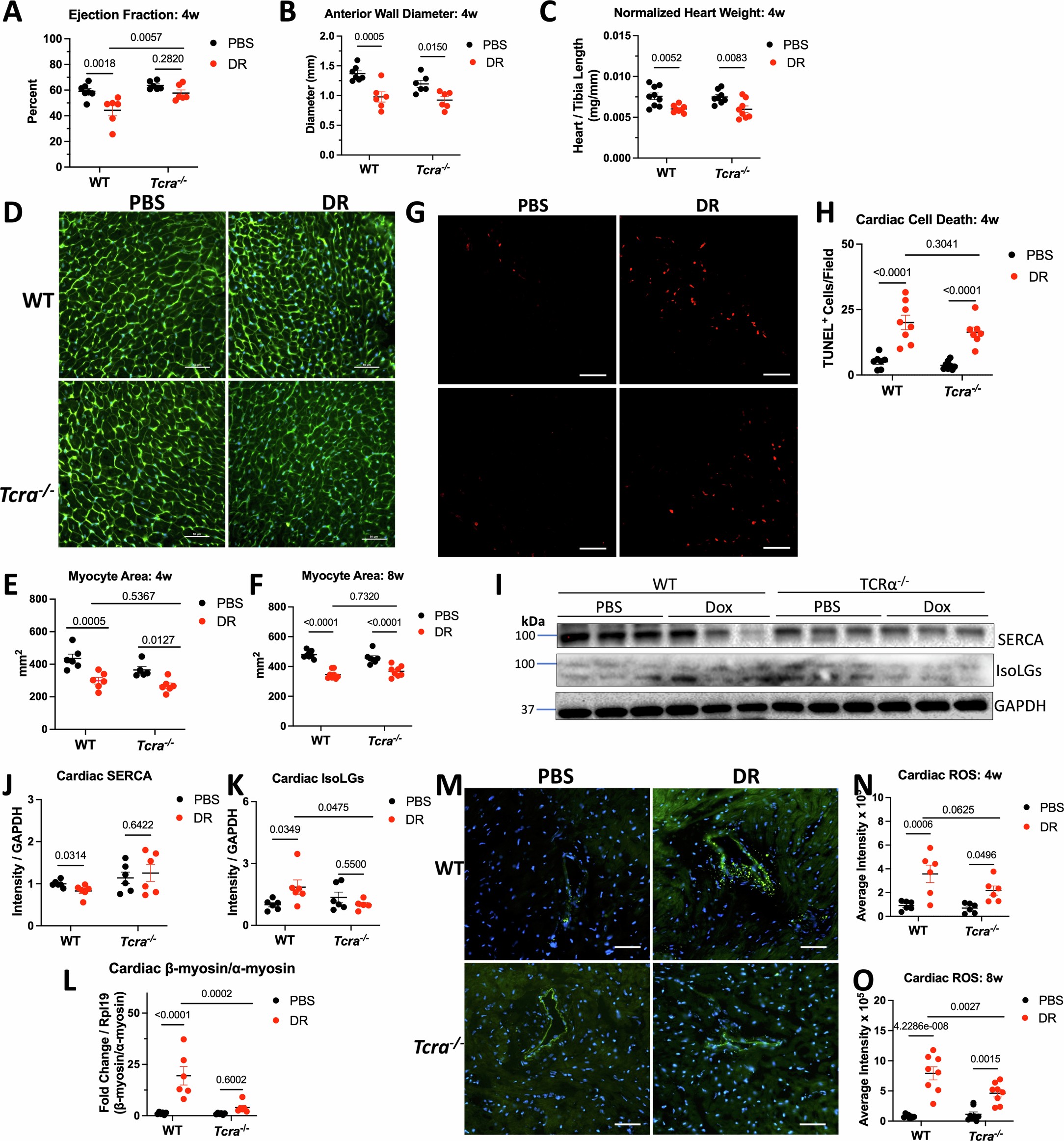 Extended Data Fig. 8