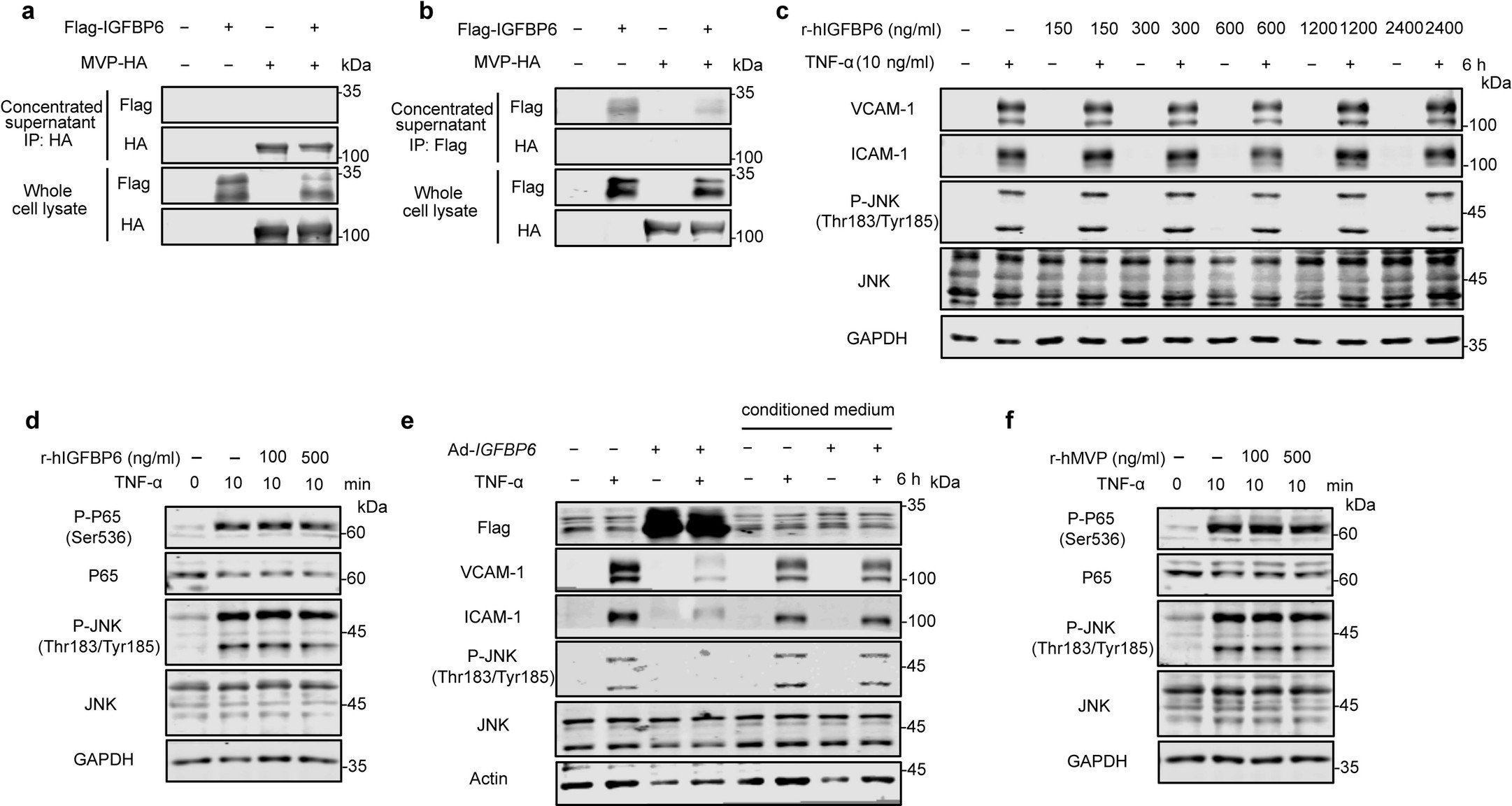 Extended Data Fig. 8