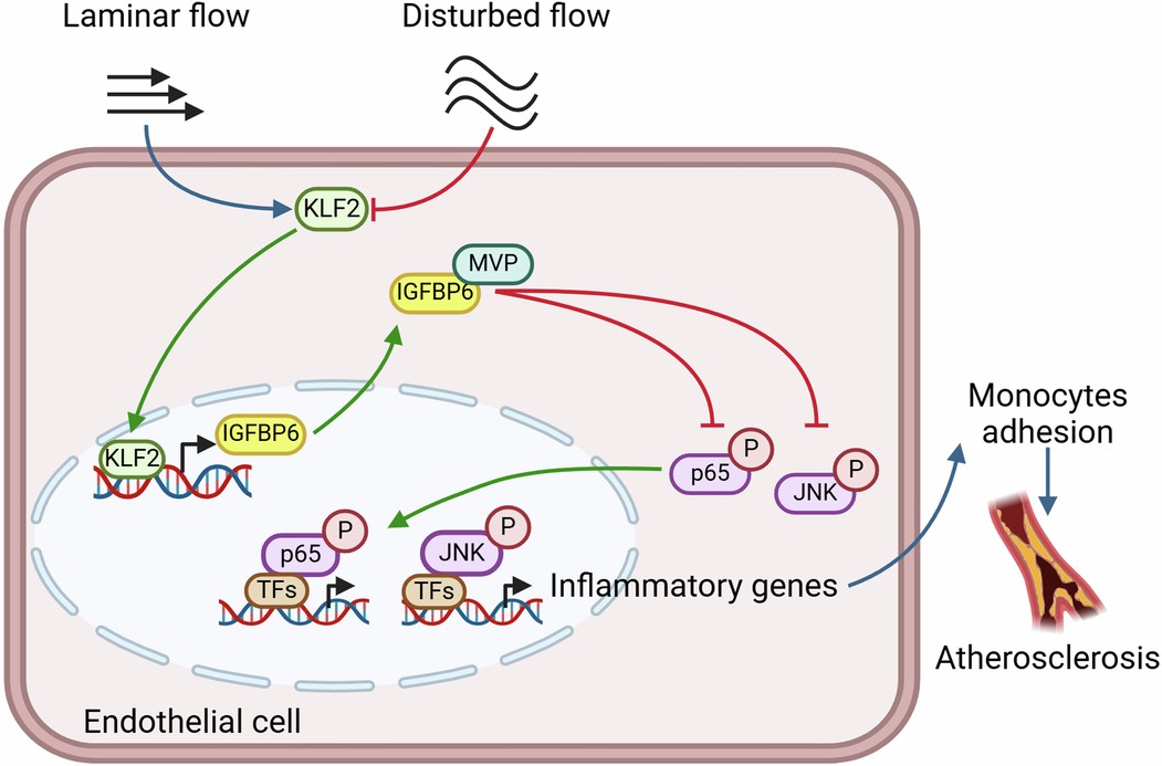 Extended Data Fig. 9