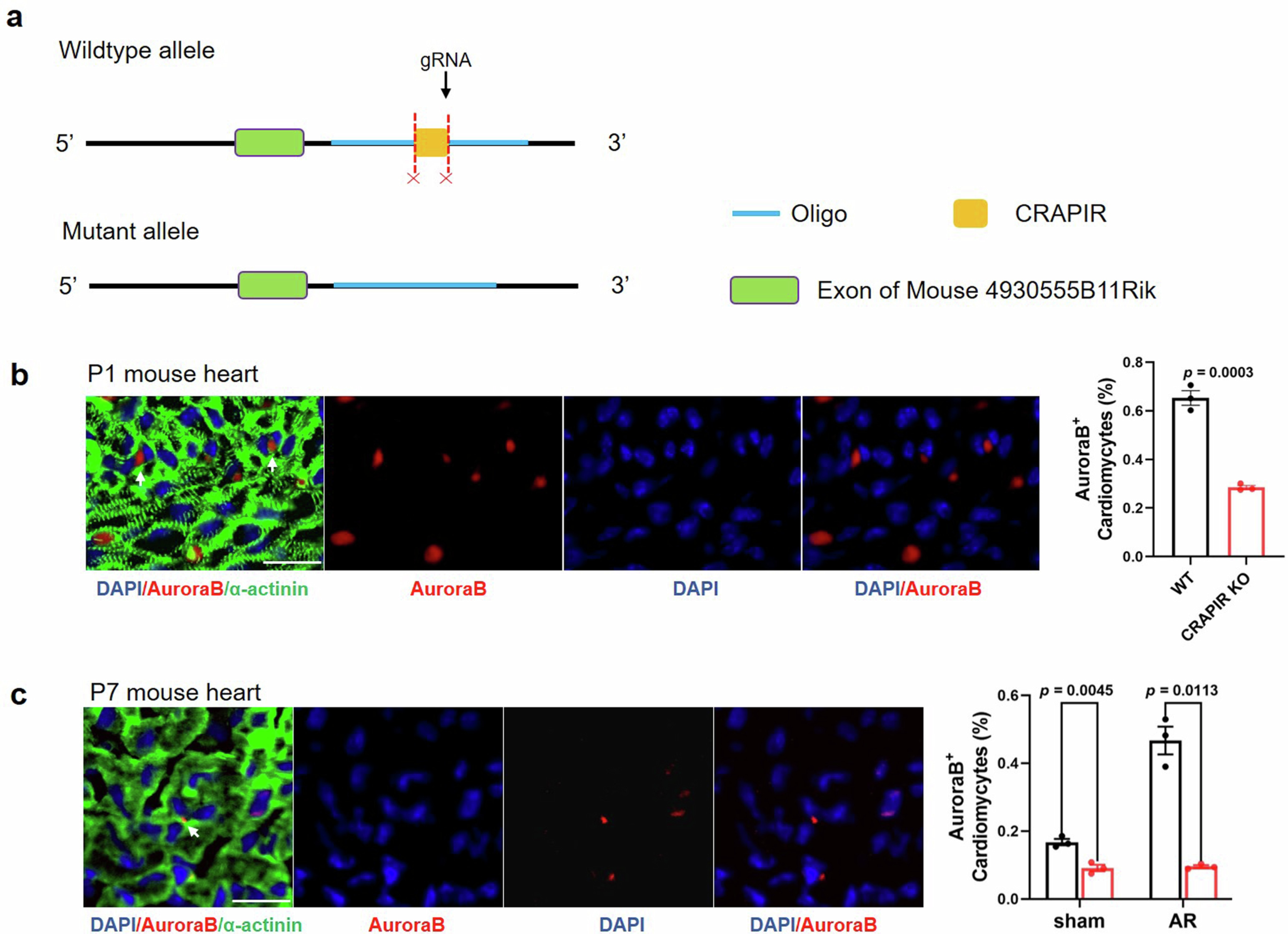 Extended Data Fig. 3