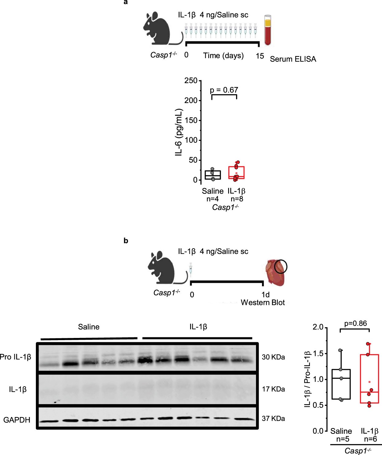 Extended Data Fig. 4