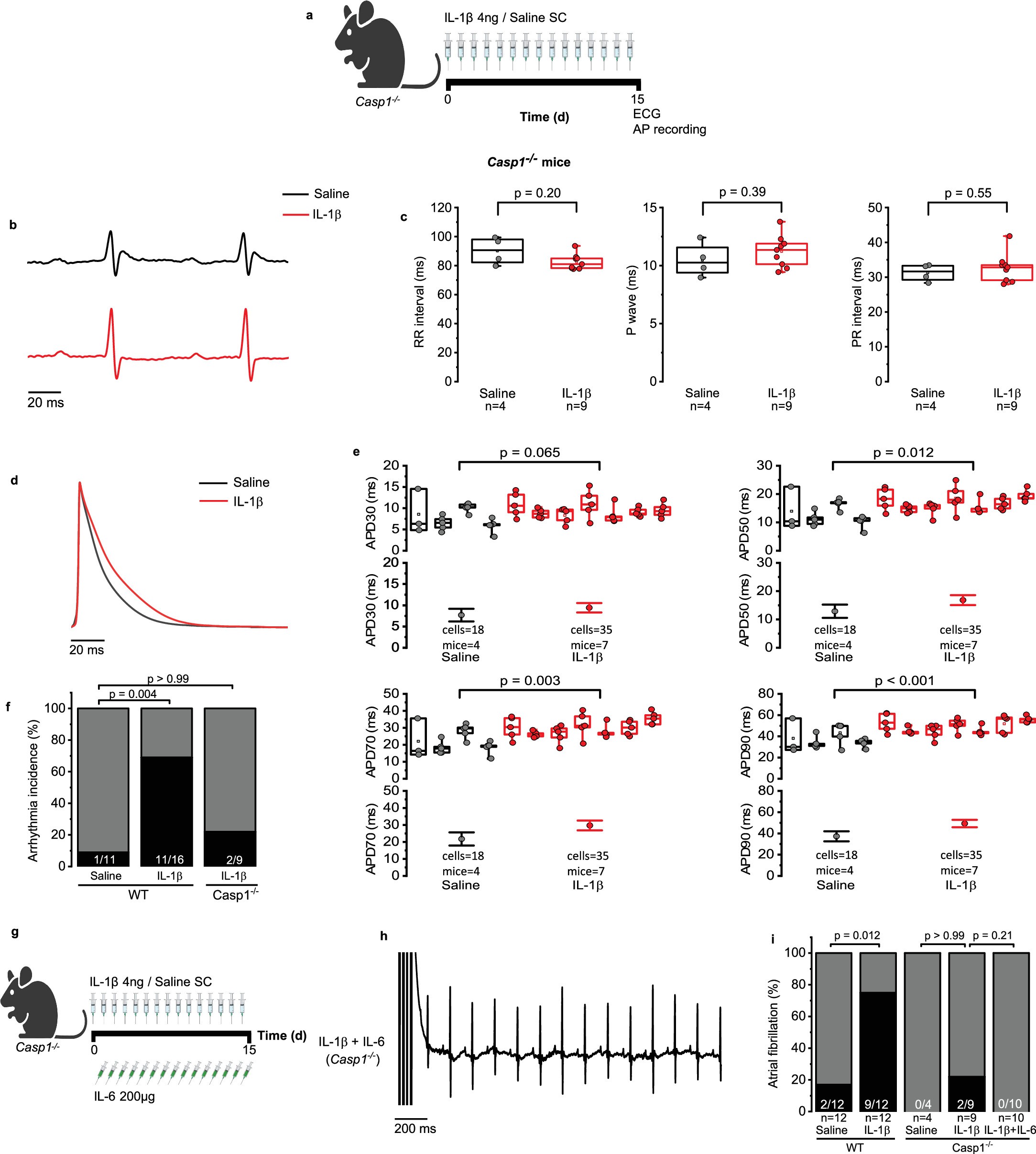 Extended Data Fig. 7: IL-1β injection increases arrhythmia susceptibility in a mechanism dependent of Casp1 expression and not IL-6.