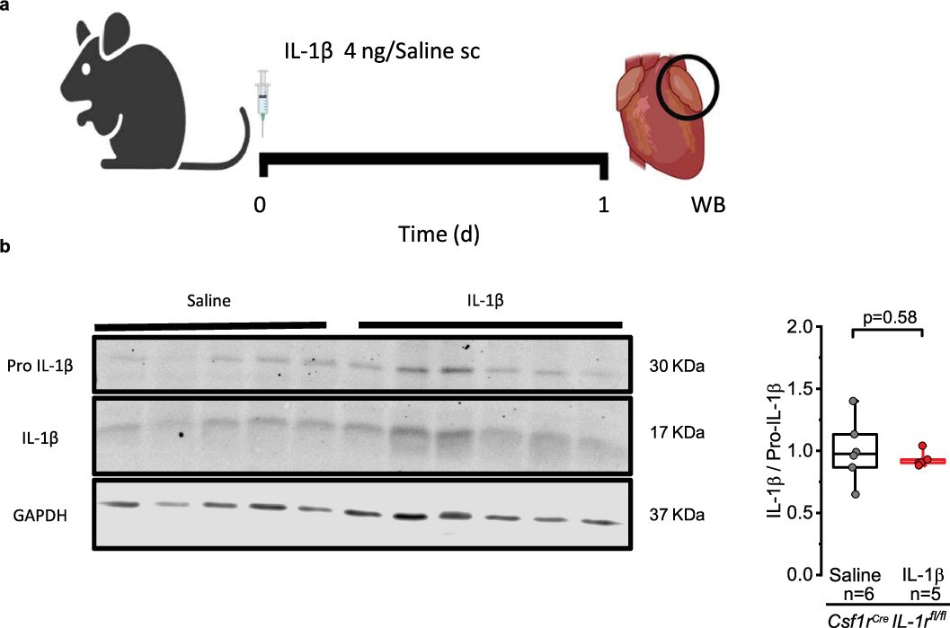 Extended Data Fig. 9