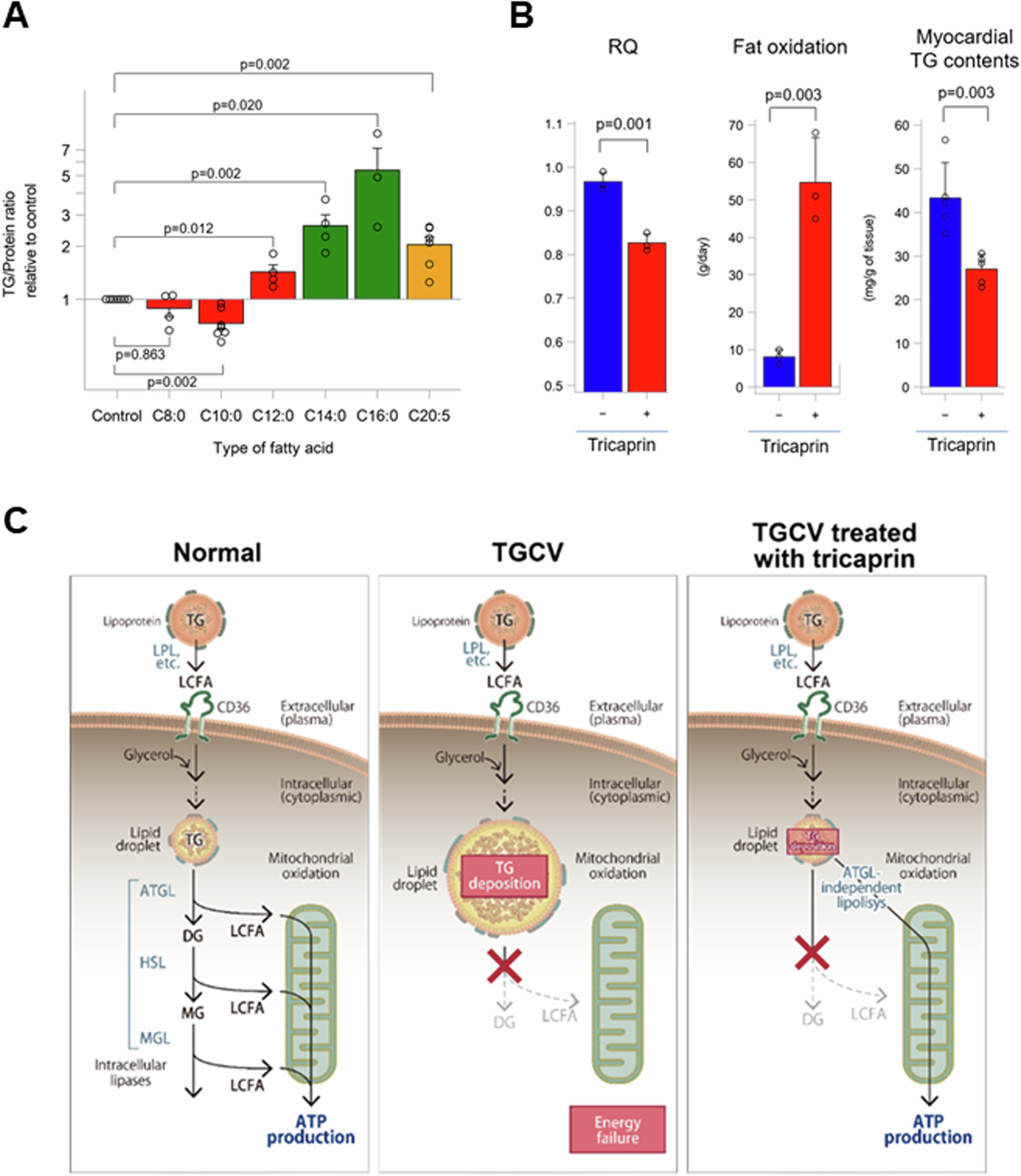 Extended Data Fig. 2