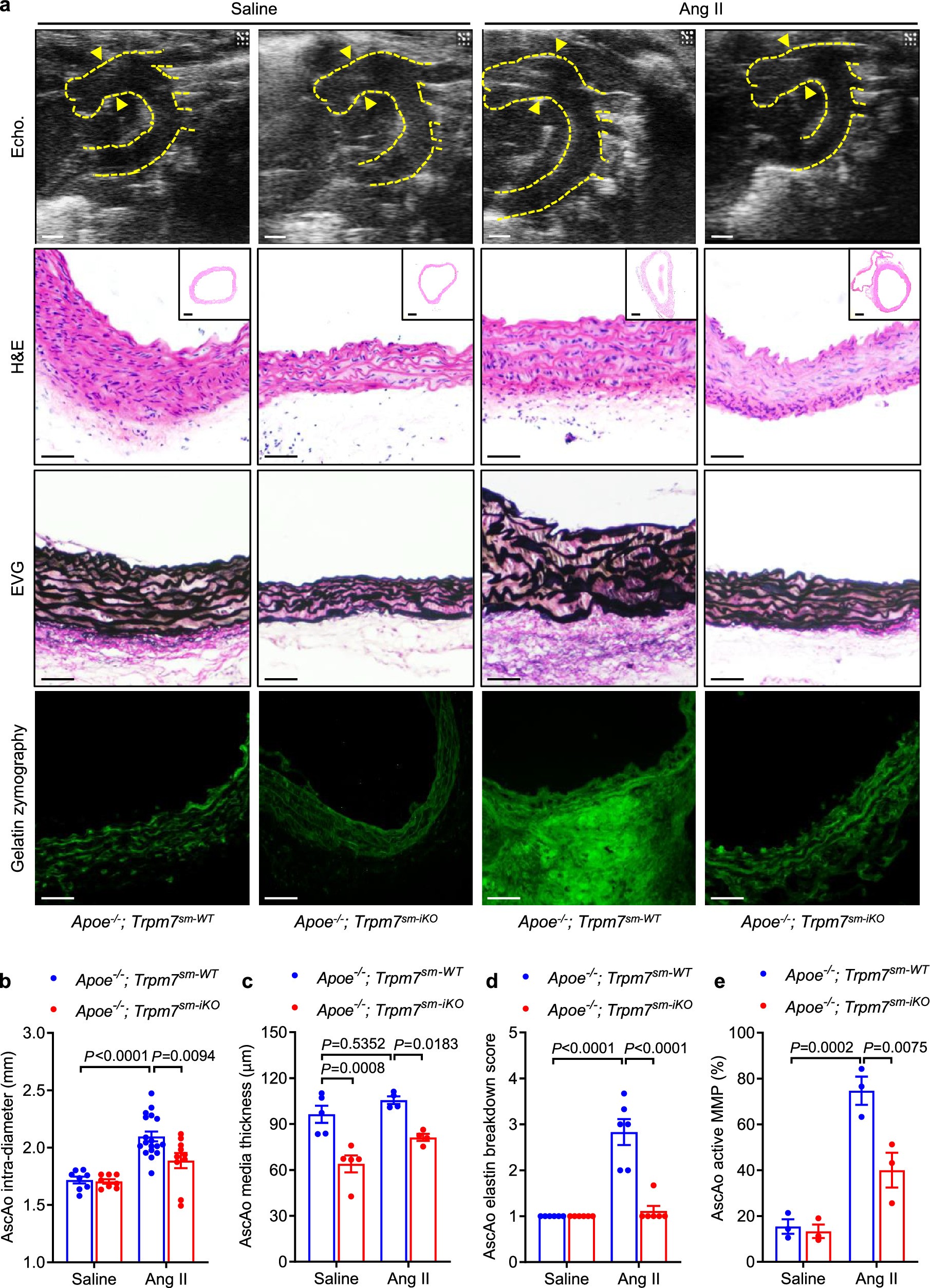 Extended Data Fig. 4