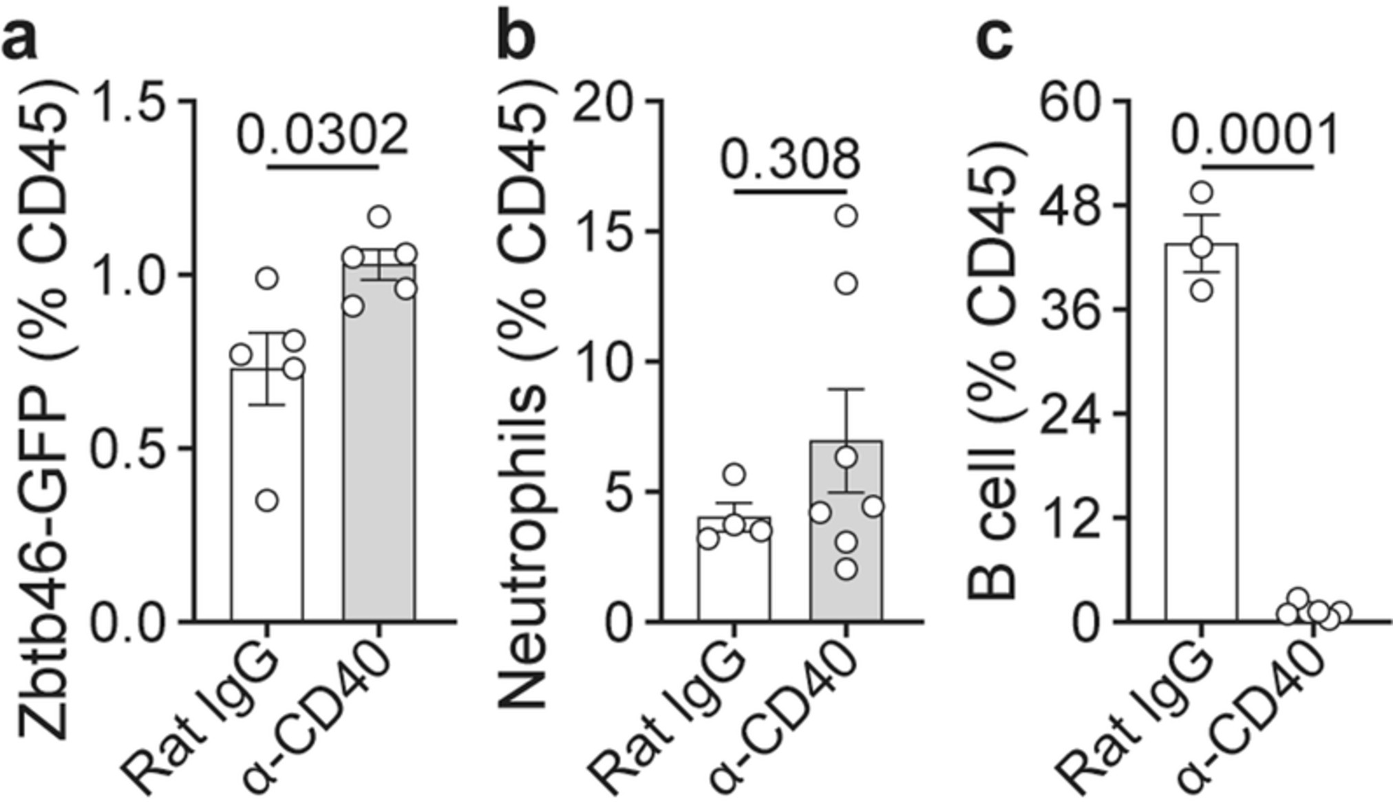 Extended Data Fig. 3: Flow analysis in dendritic cells, neutrophils, and B cells.