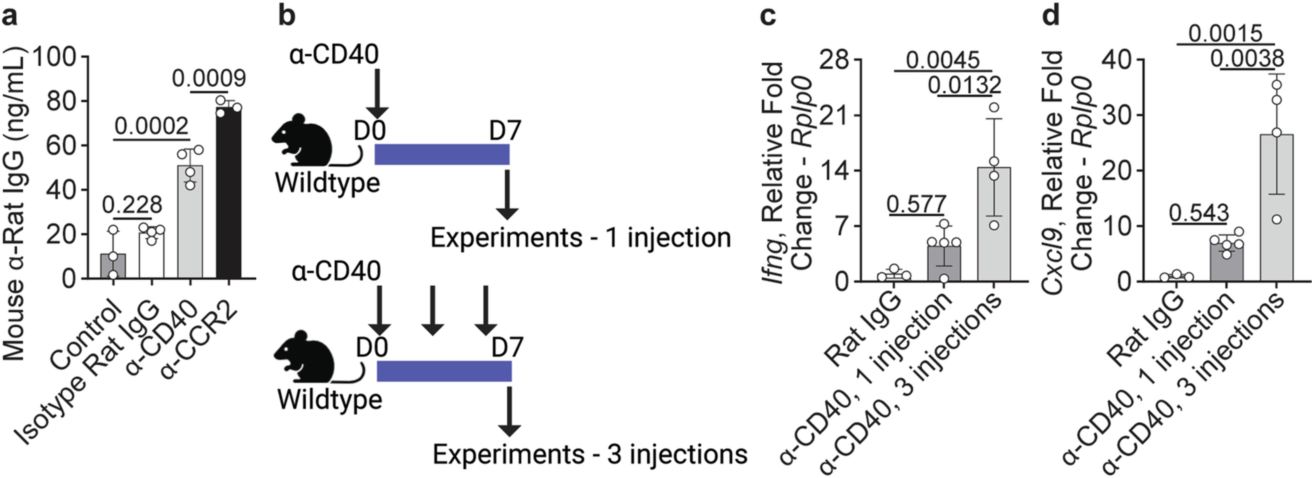 Extended Data Fig. 5: Low levels of anti-drug antibodies with minimal impact on the inflammatory response from serial injections.