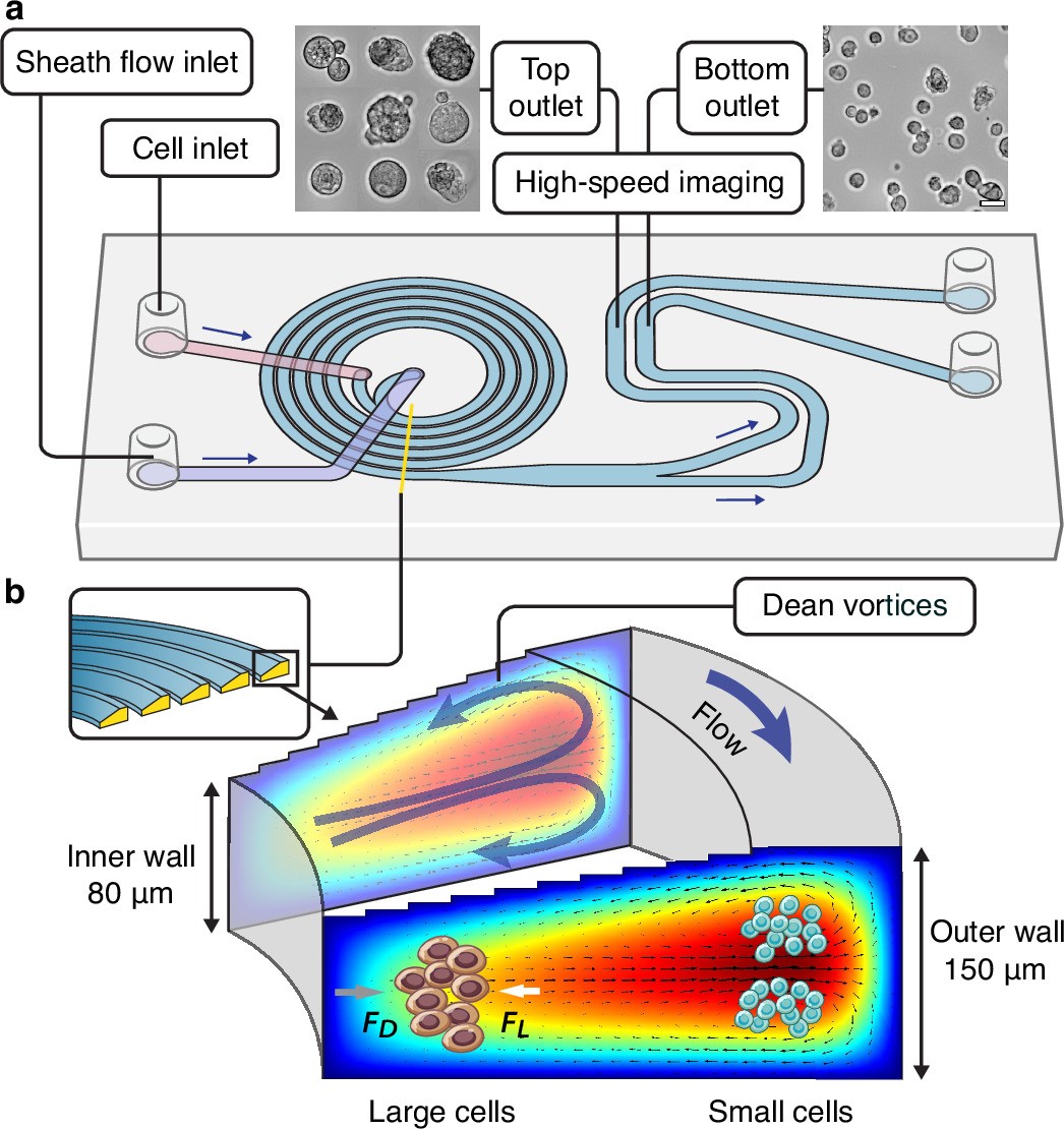 Extended Data Fig. 7