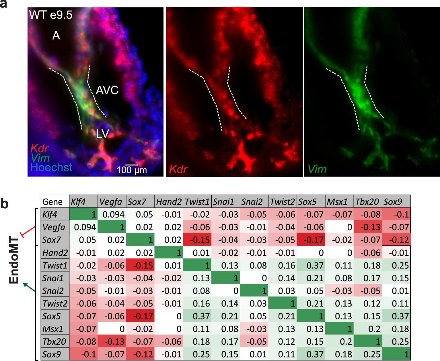 Extended Data Fig. 4