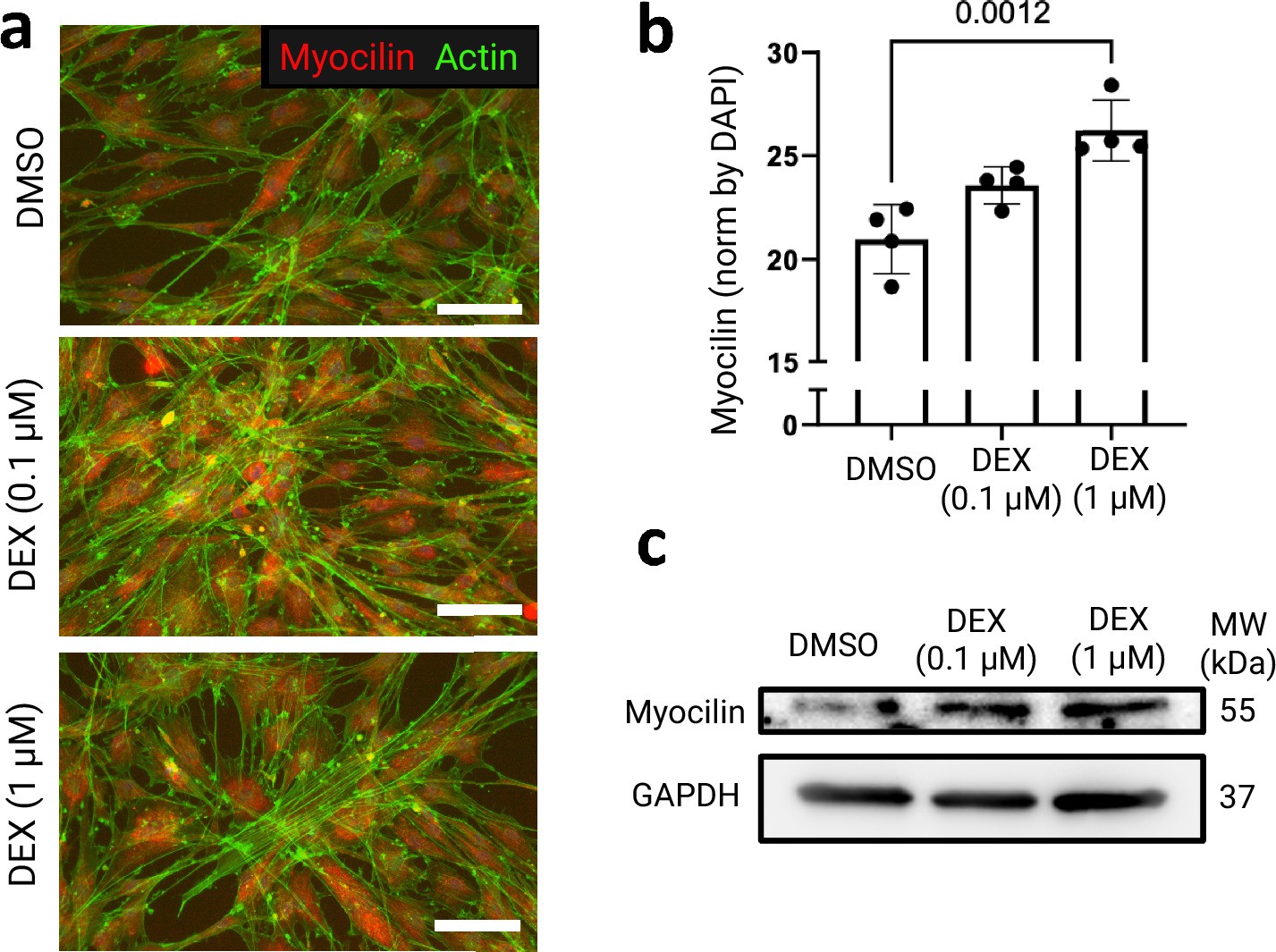 Extended Data Fig. 2