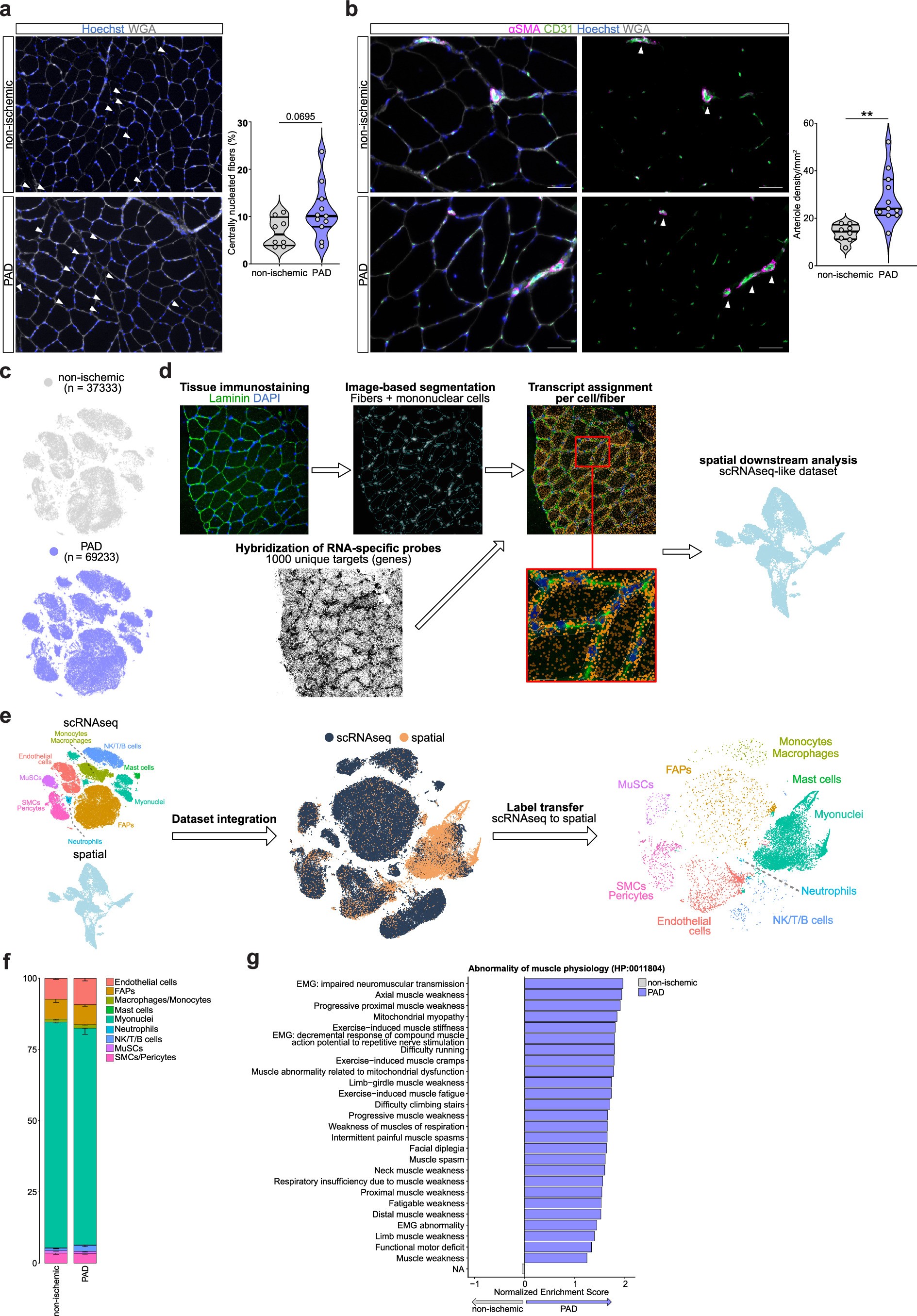 Extended Data Fig. 1