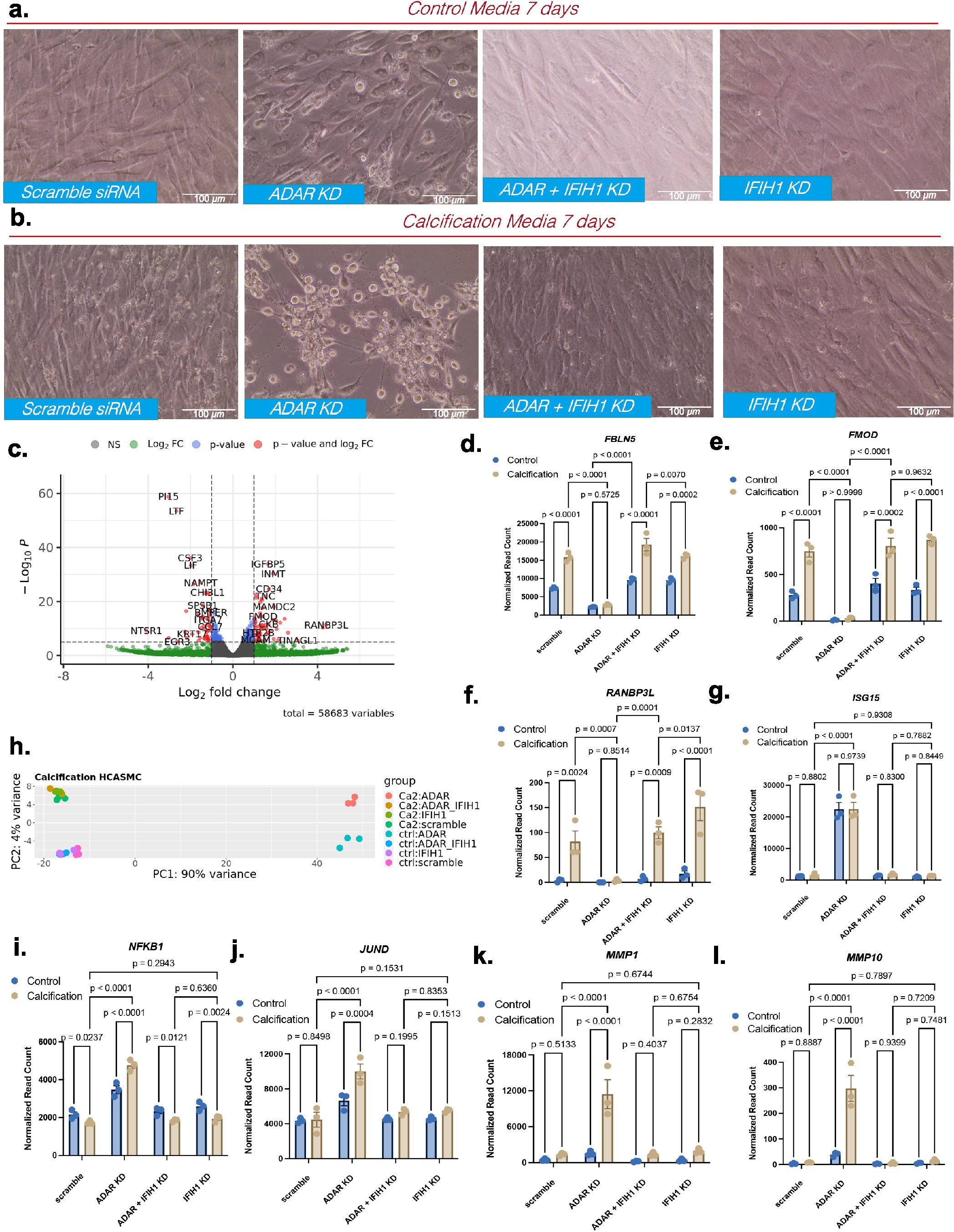 Extended Data Fig. 3