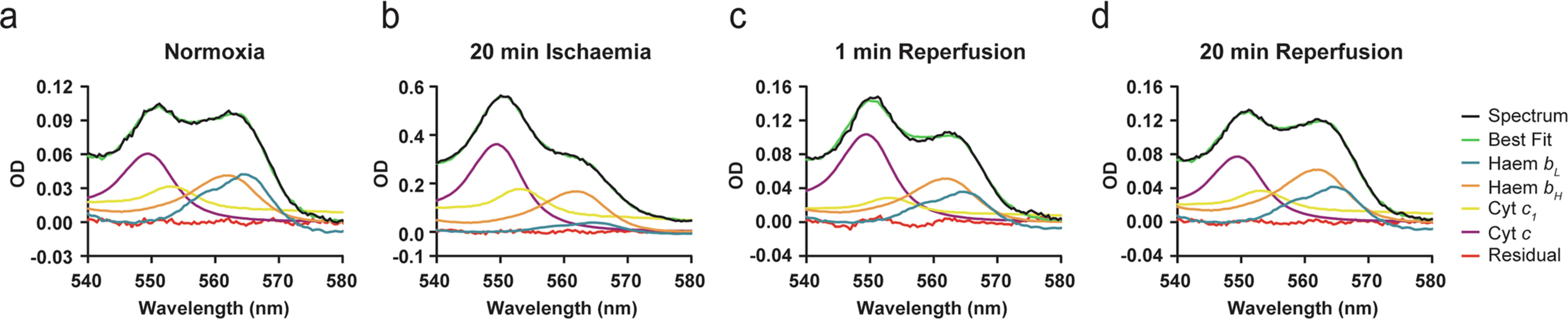 Extended Data Fig. 2: Multi-wavelength absorbance spectroscopy in the isolated Wt heart.