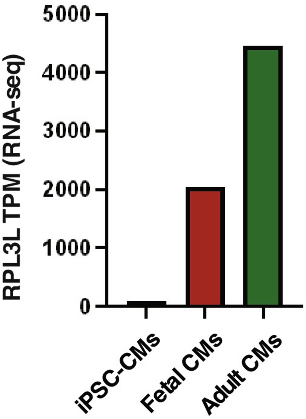 Extended Data Fig. 3: iPSC cardiomyocytes (iPSC-CMs) do not express RPL3L.