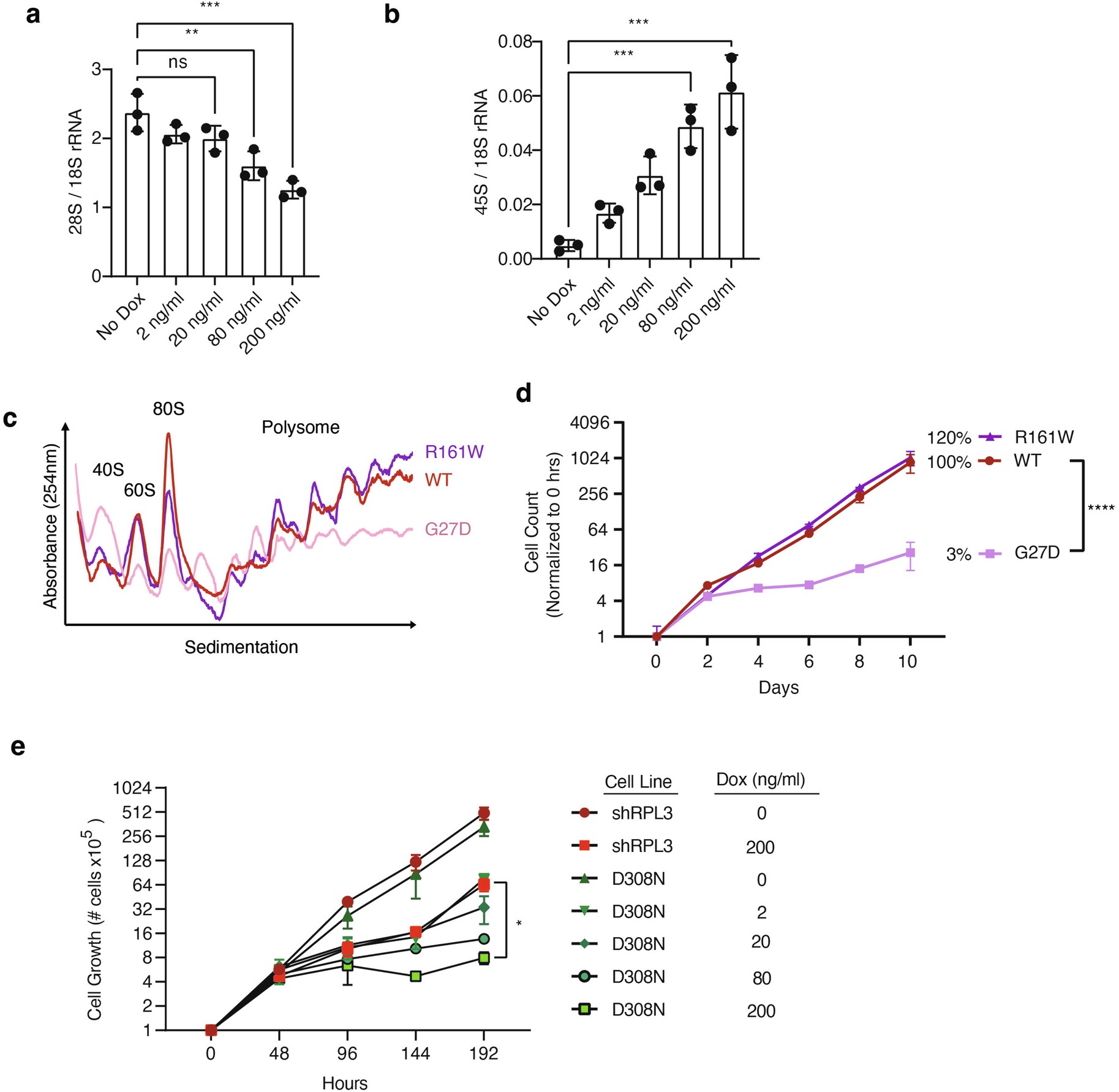 Extended Data Fig. 6: Effect of variants on rRNA processing, translation, and cell growth.