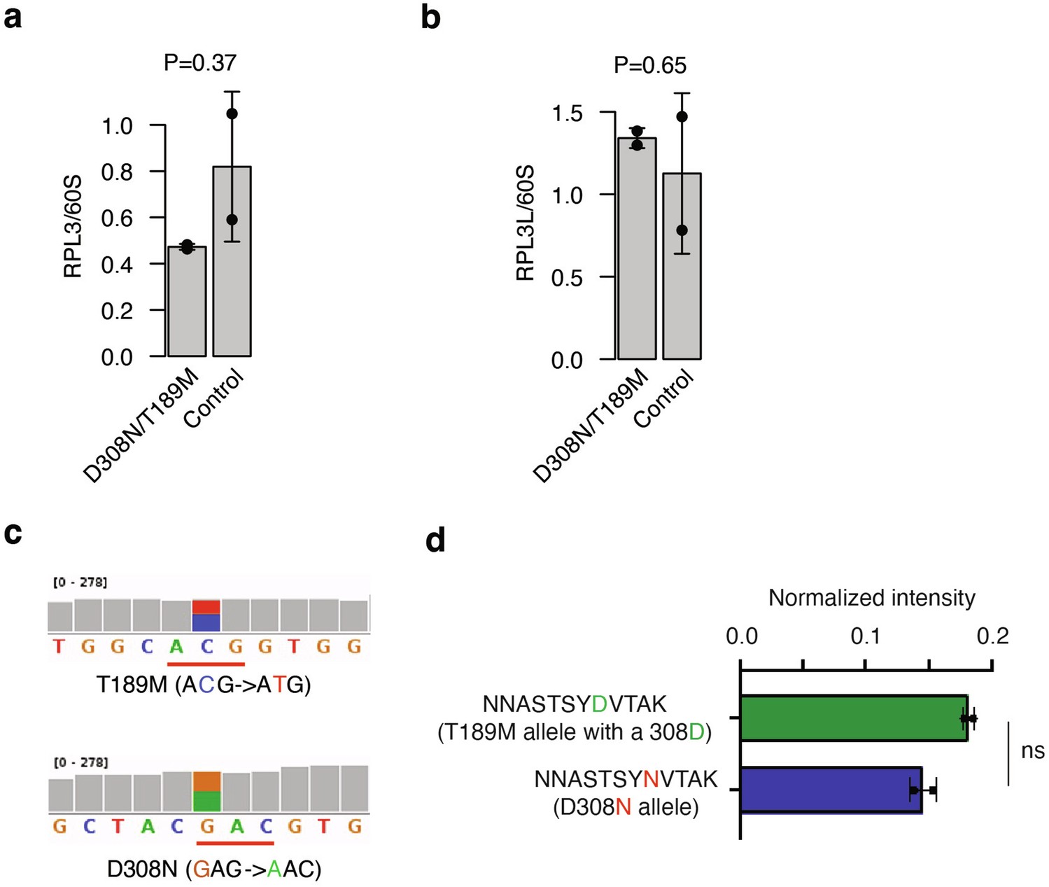 Extended Data Fig. 2: Expression of RPL3 and RPL3L in explanted patient hearts.