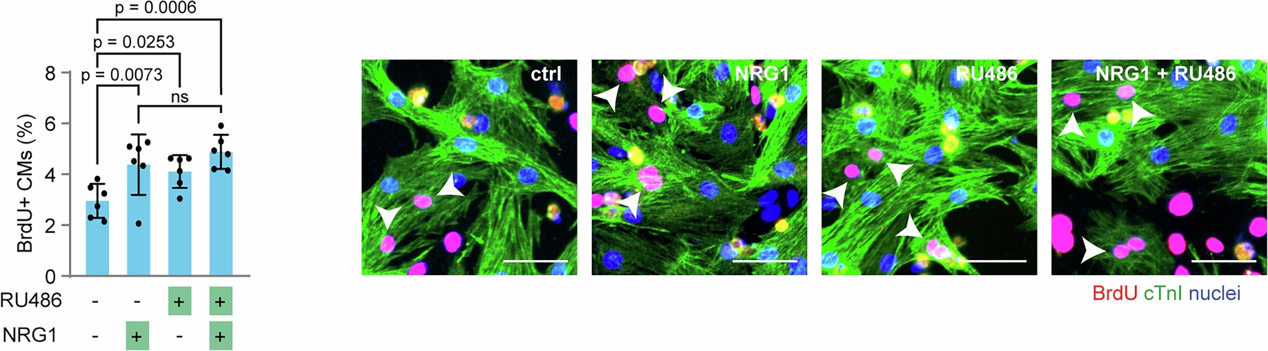 Extended Data Fig. 7