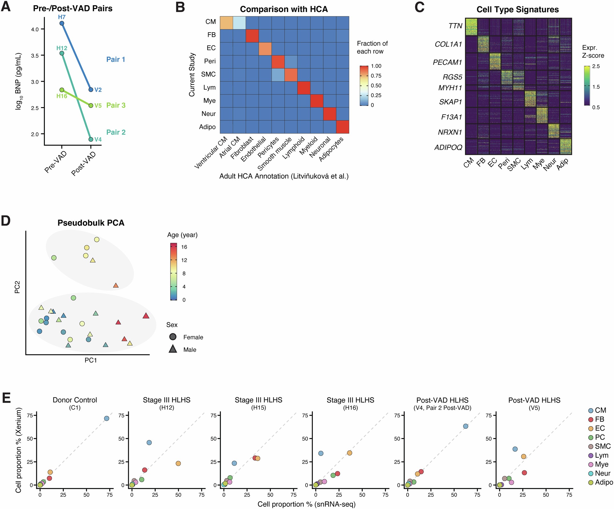 Extended Data Fig. 1: Cell type annotation, and concordance of snRNA-seq and spatial transcriptomics data.