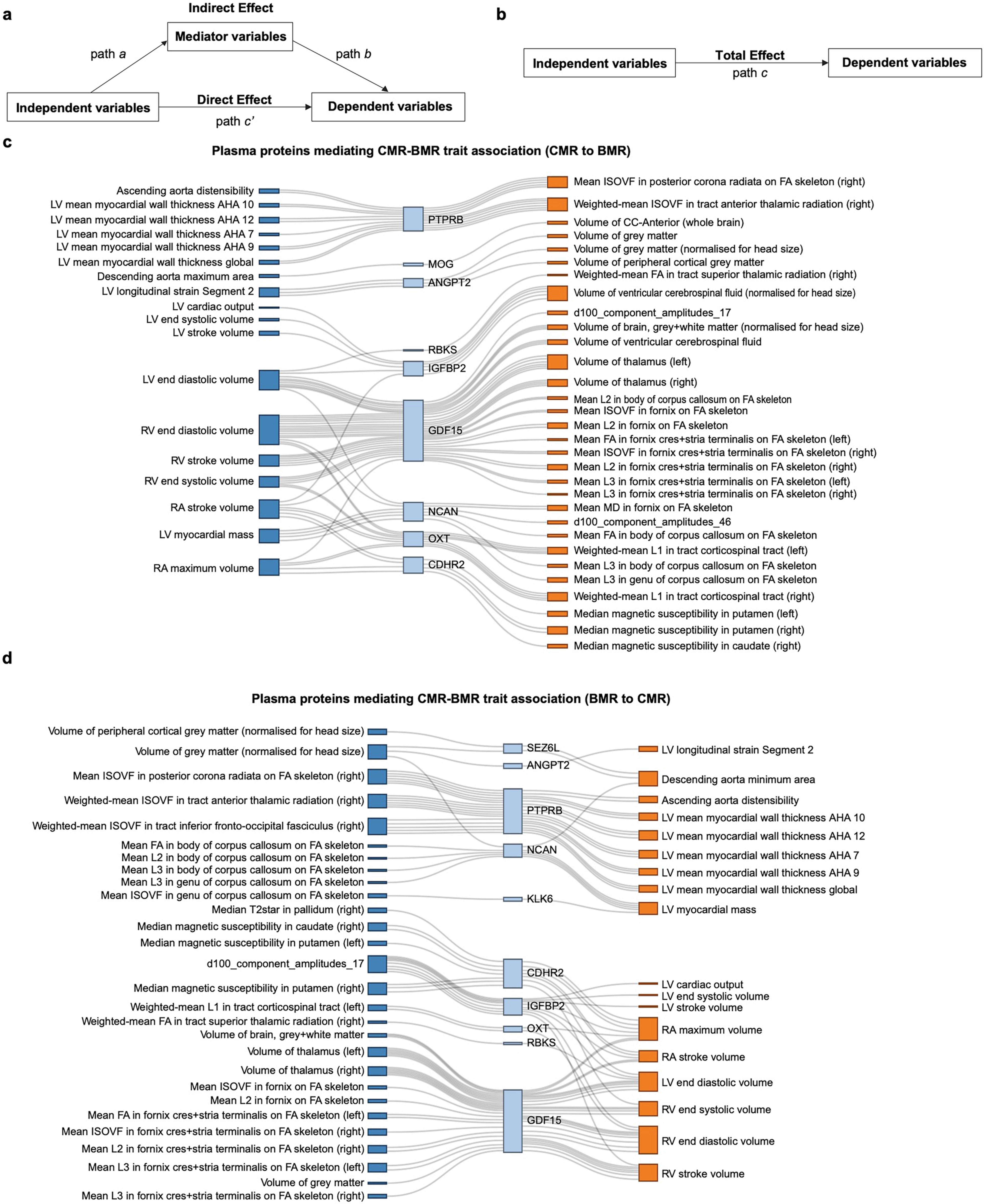 Extended Data Fig. 3: Mediation analysis of proteins on CMR-BMR trait interactions.