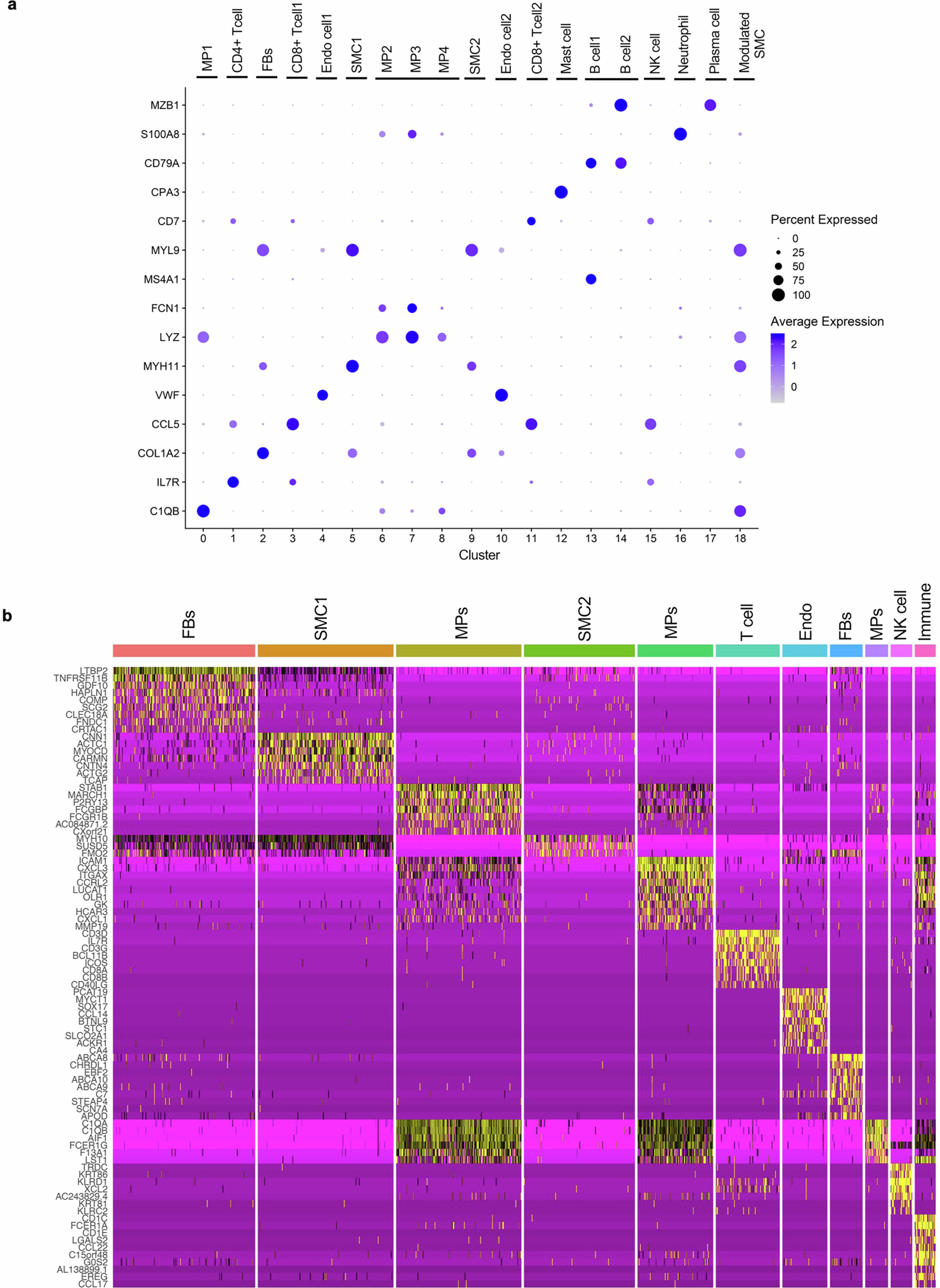 Extended Data Fig. 6: Cell-type markers in artery tissue.