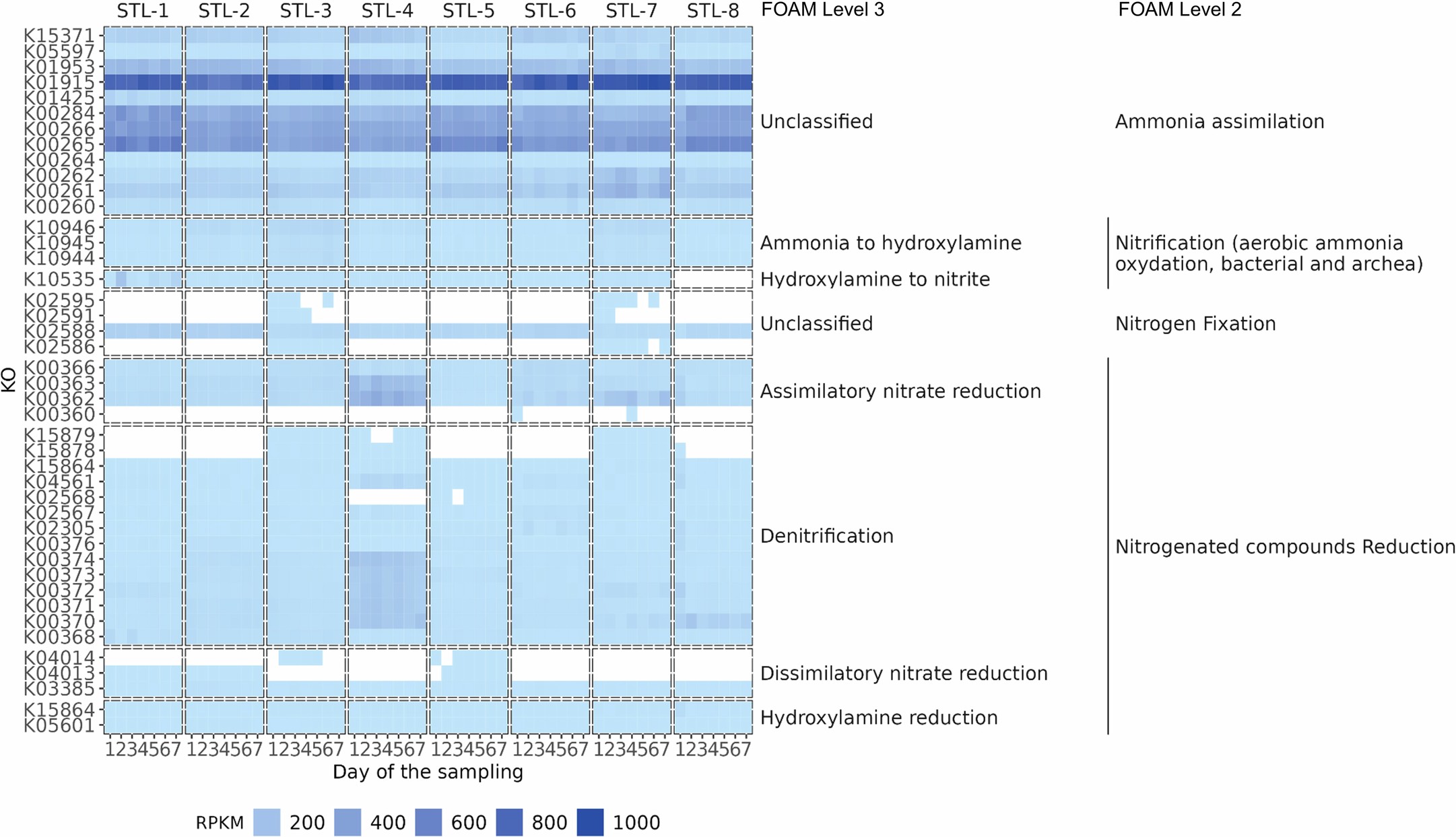 Extended Data Fig. 4: RPKMs of KOs involved in the nitrogen cycle.