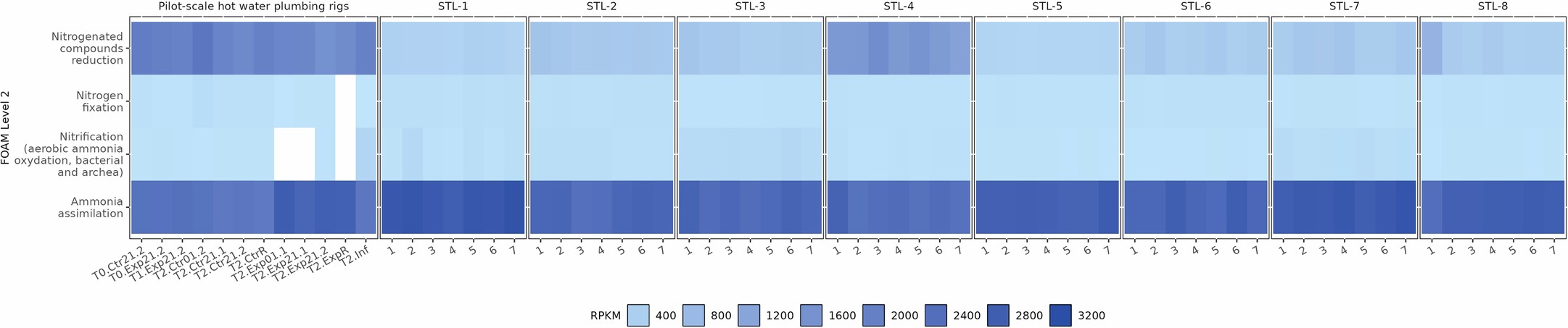 Extended Data Fig. 7: RPKMs of level 2 functions in the nitrogen cycle of St. Louis premise plumbing water in comparison to a pilot-scale hot water plumbing rig study.