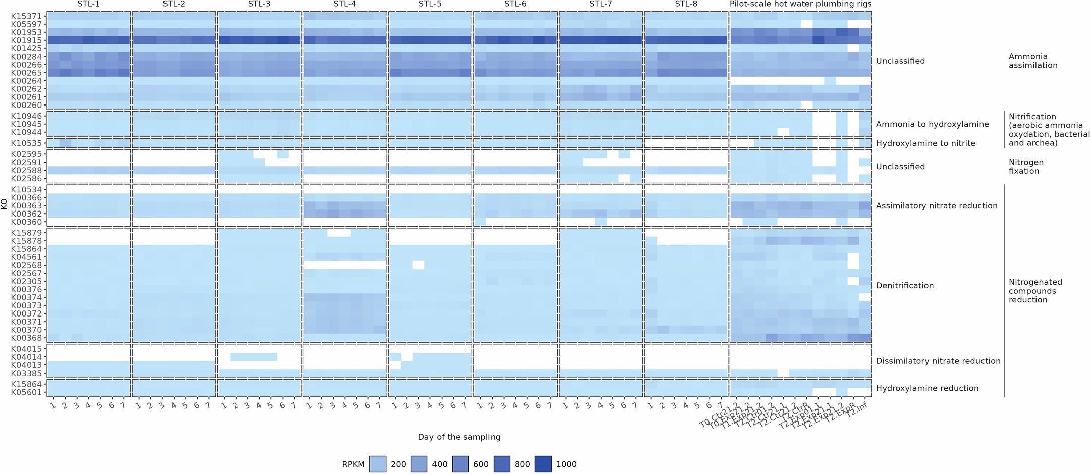 Extended Data Fig. 8: RPKMs of KOs involved in the nitrogen cycle of St. Louis premise plumbing water in comparison to a pilot-scale hot water plumbing rig study.