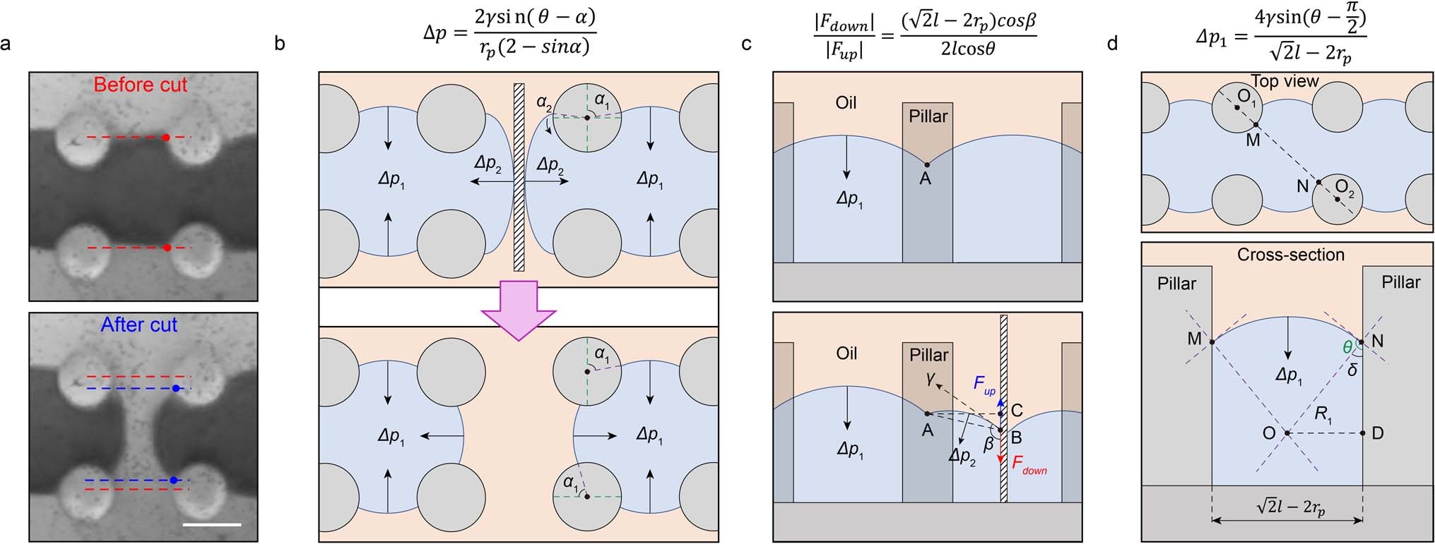 Extended Data Fig. 5