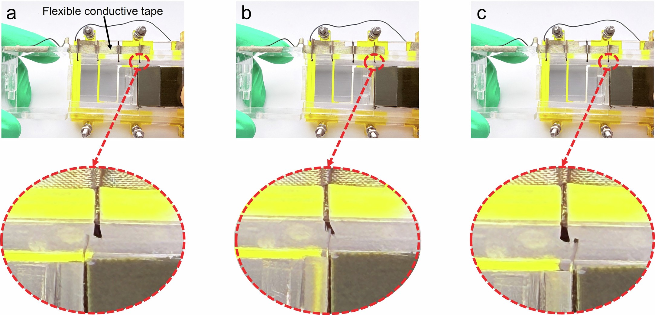 Extended Data Fig. 2: Photographs of switch with different states.