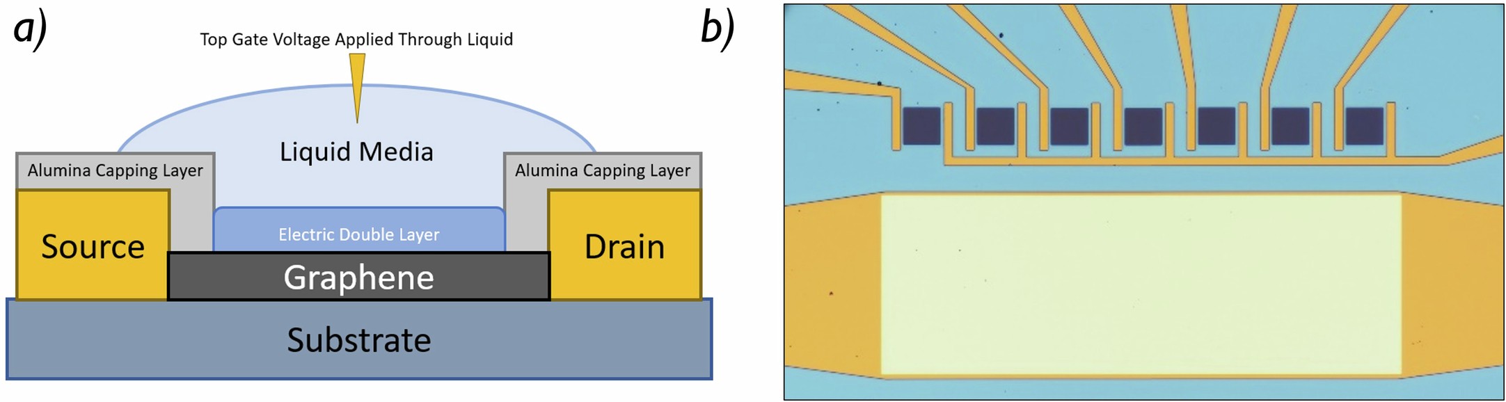 Extended Data Fig. 1: Graphene-based ion sensitive field effect transistor (ISFET).