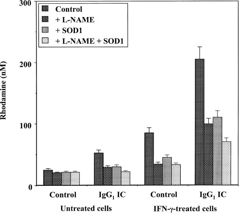 Fc-Receptor-Mediated Intracellular Delivery of Cu/Zn-superoxide Dismutase  (SOD1) Protects Against Redox-Induced Apoptosis Through a Nitric Oxide  Dependent Mechanism, Molecular Medicine