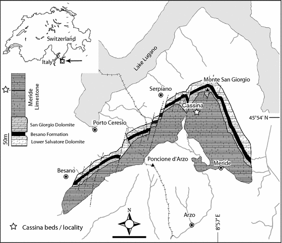 Fig. 1