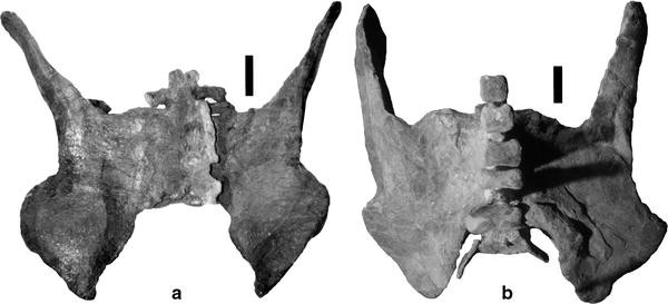 Fig. 8
