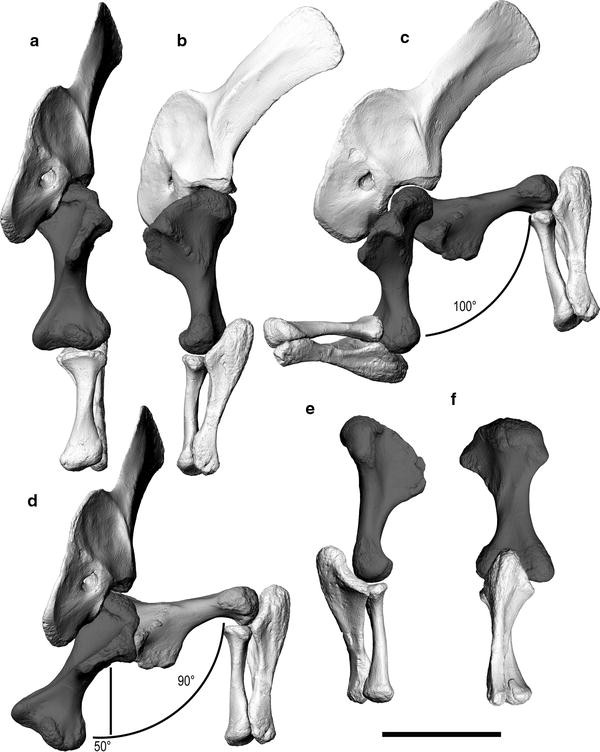 Fig. 7