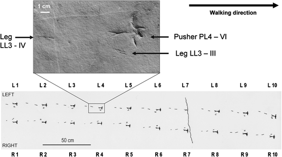 Fig. 4