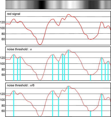 Fig. 1