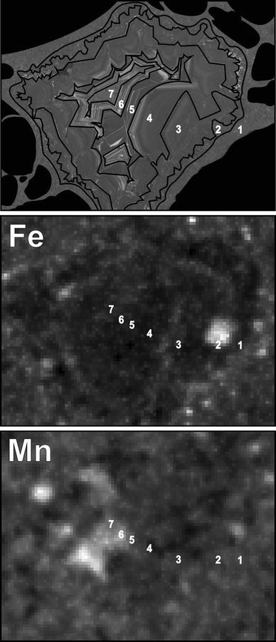 Fig. 6