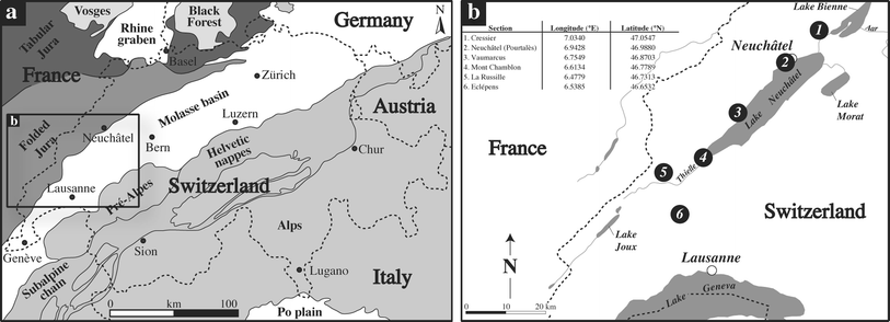 Fig. 2