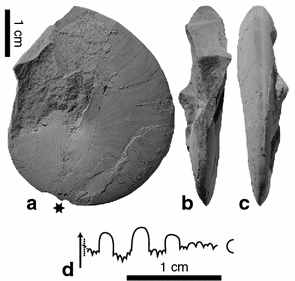 Fig. 13