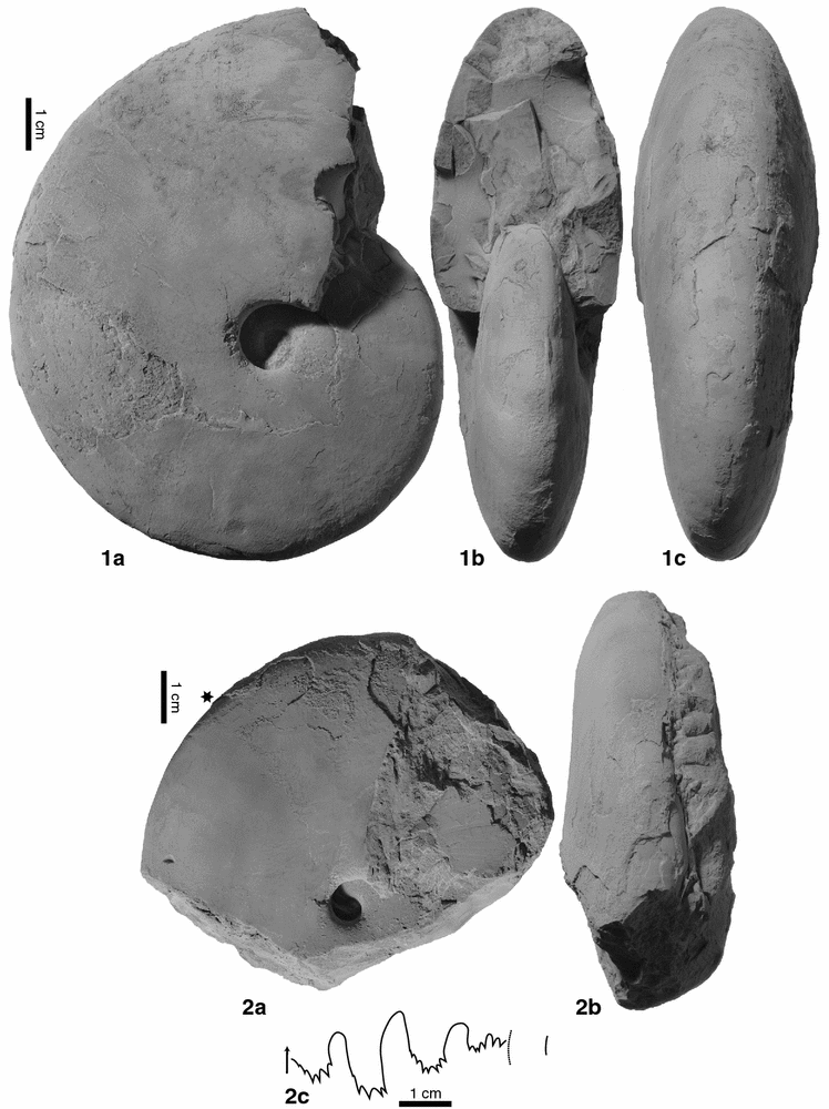 Fig. 15