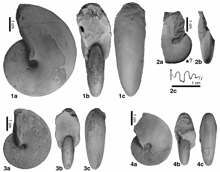 Fig. 16