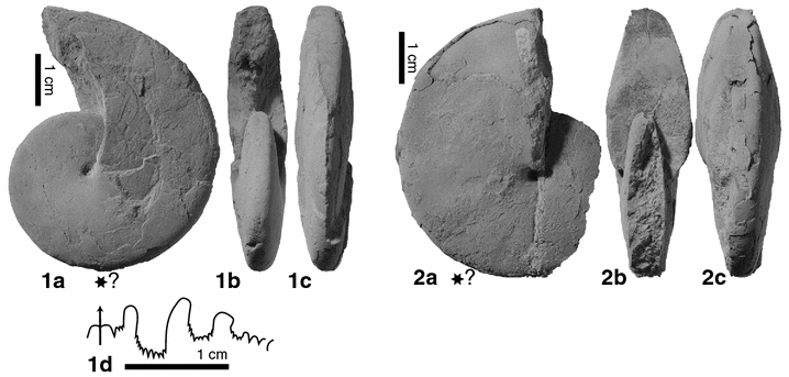 Fig. 18