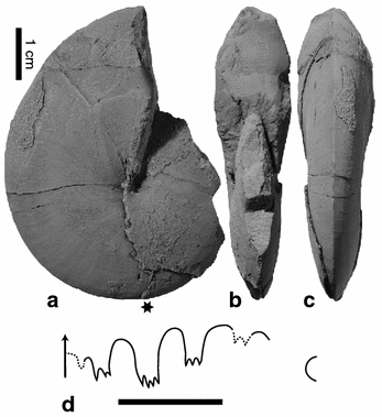 Fig. 20