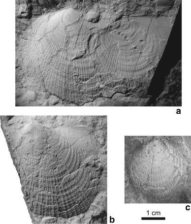 Fig. 2