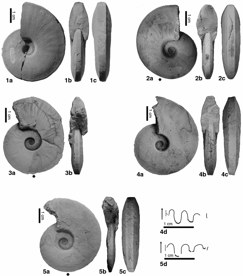 Fig. 5